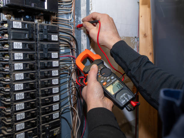Best Local Electrician Companies  in Vicksburg, MI